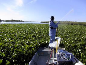 pesticide_spraying