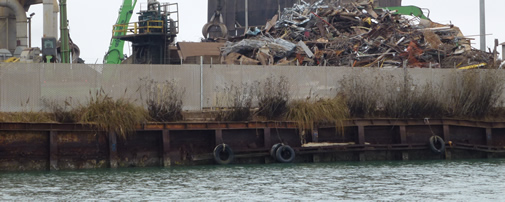 Baykeeper blog image