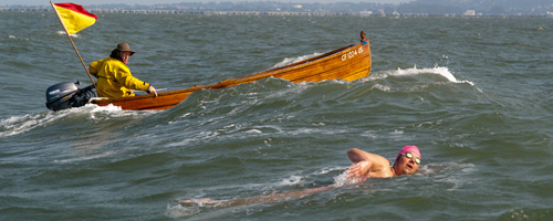 Baykeeper blog image