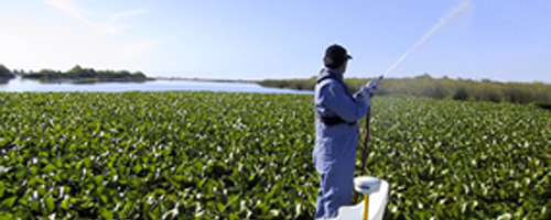 Baykeeper blog image