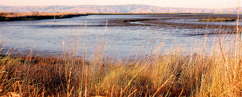 Baykeeper blog image