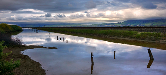 Alviso