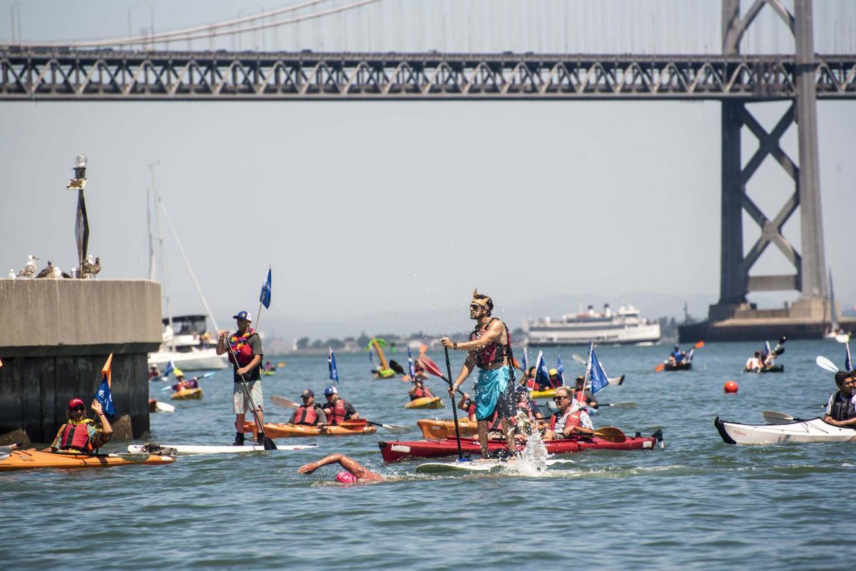 Bay Parade 