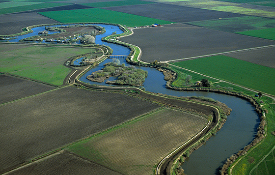 The Delta