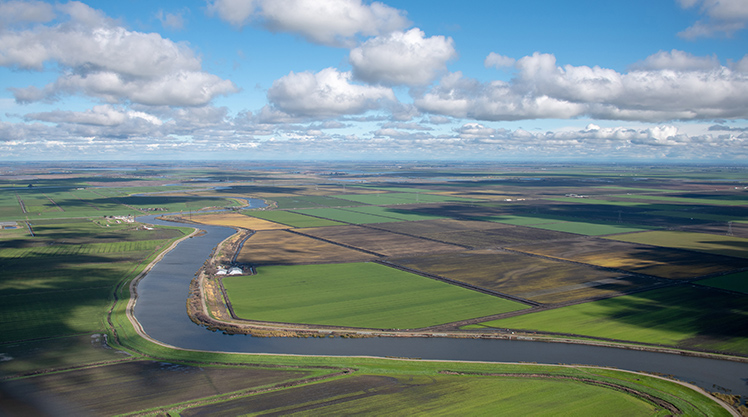 The Delta 