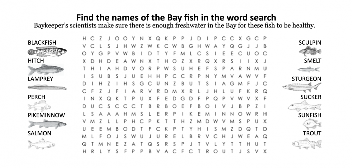 Find the Fish