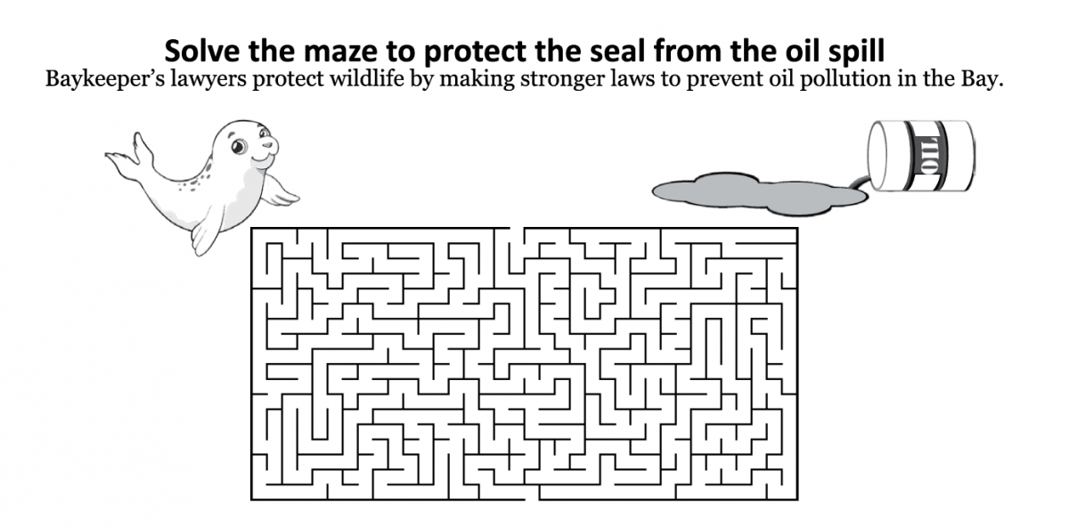 Solve the Maze