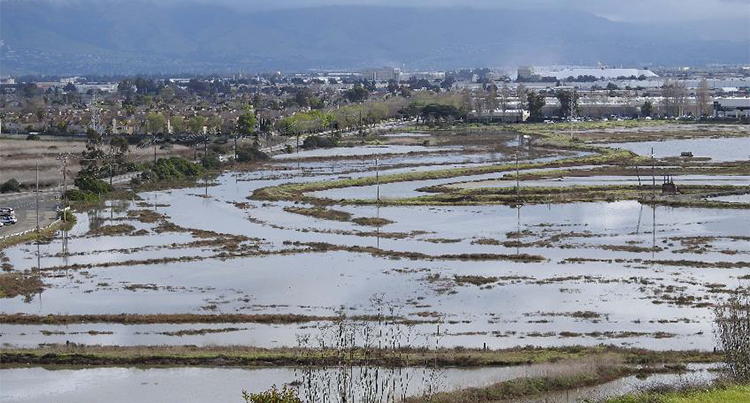 Newark Slough site
