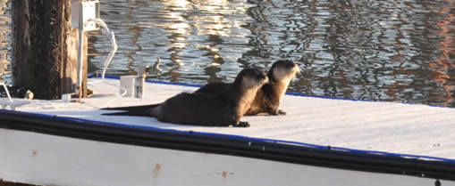 Baykeeper blog image